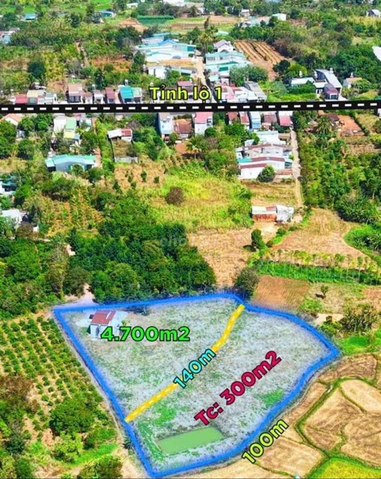 4700m2 CÓ 300m2 THỔ CƯ HẺM ÔTÔ GẦN TRUNG TÂM TP BMT