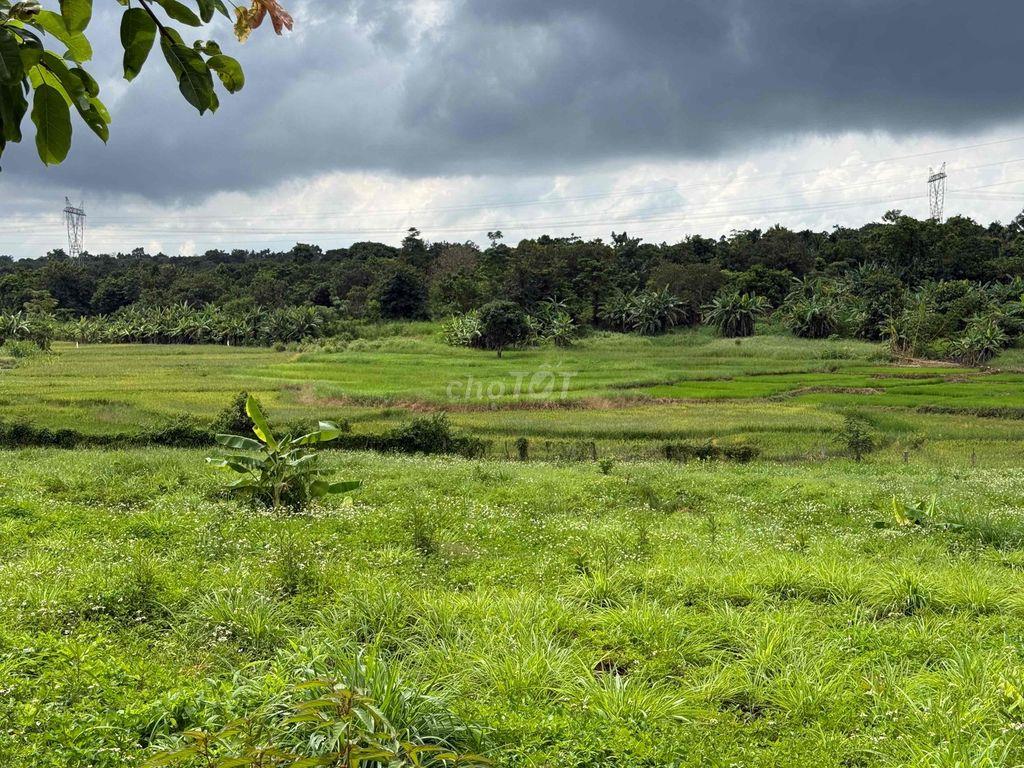 4700m2 CÓ 300m2 THỔ CƯ HẺM ÔTÔ GẦN TRUNG TÂM TP BMT