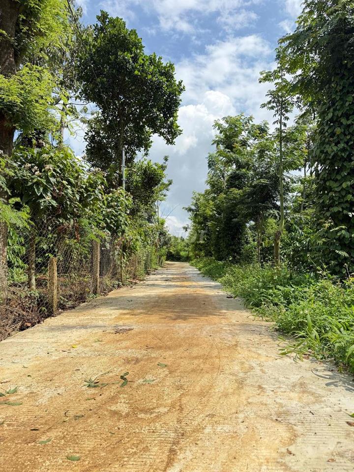 4700m2 CÓ 300m2 THỔ CƯ HẺM ÔTÔ GẦN TRUNG TÂM TP BMT