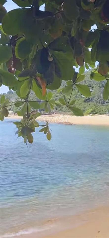 Bán lô đất mặt tiền View trực diện Biển Quy Nhơn giá chỉ 5,5 tỷ 