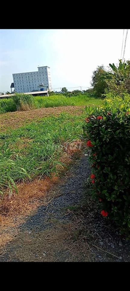 kẹt tiền bán đất vườn có 210 m thổ cư, gần chợ trường học và ủy ban