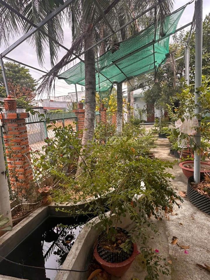 PHÒNG CHO THUÊ DÀI HẠN HOẶC NGẮN HẠN HOMESTAY