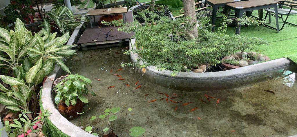 PHÒNG CHO THUÊ DÀI HẠN HOẶC NGẮN HẠN HOMESTAY