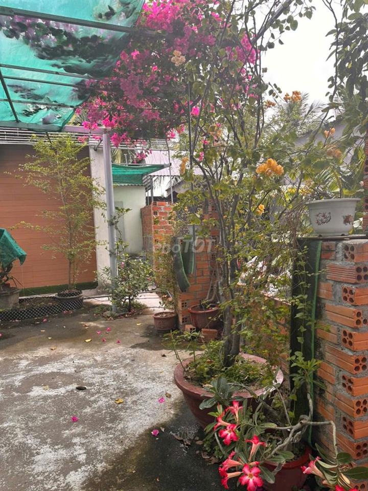 PHÒNG CHO THUÊ DÀI HẠN HOẶC NGẮN HẠN HOMESTAY