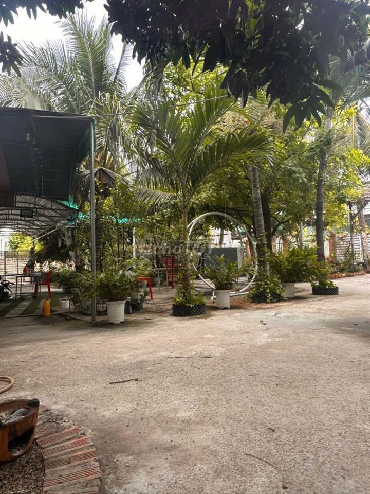 PHÒNG CHO THUÊ DÀI HẠN HOẶC NGẮN HẠN HOMESTAY