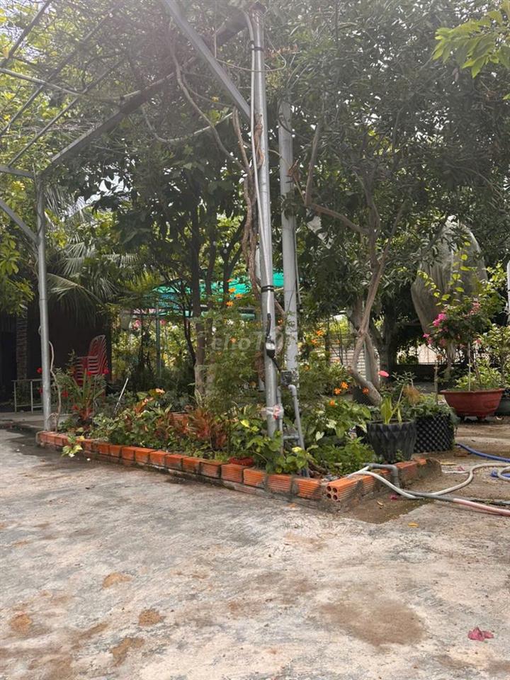 PHÒNG CHO THUÊ DÀI HẠN HOẶC NGẮN HẠN HOMESTAY