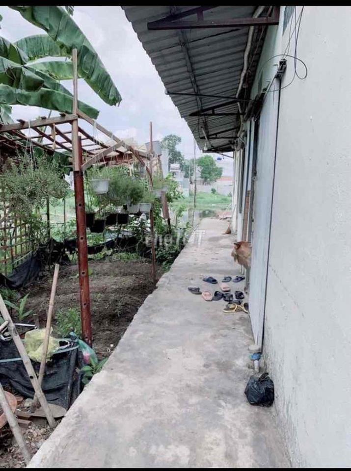 cho thuê phòng trọ đường thới hoà, khu công nghiệp vĩnh lộc