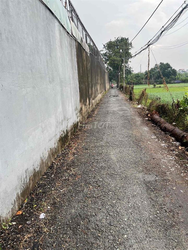 BÁN ĐAT VUON THẠNH XUAN14