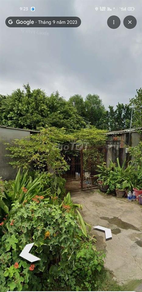Cần bán đất vườn