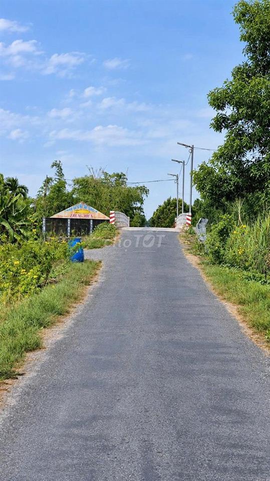 CẦN BÁN ĐẤT THỔ VƯỜN ĐẸP – TÂN PHƯỚC, TIỀN GIANG (ĐỒNG THÁP MỚI)