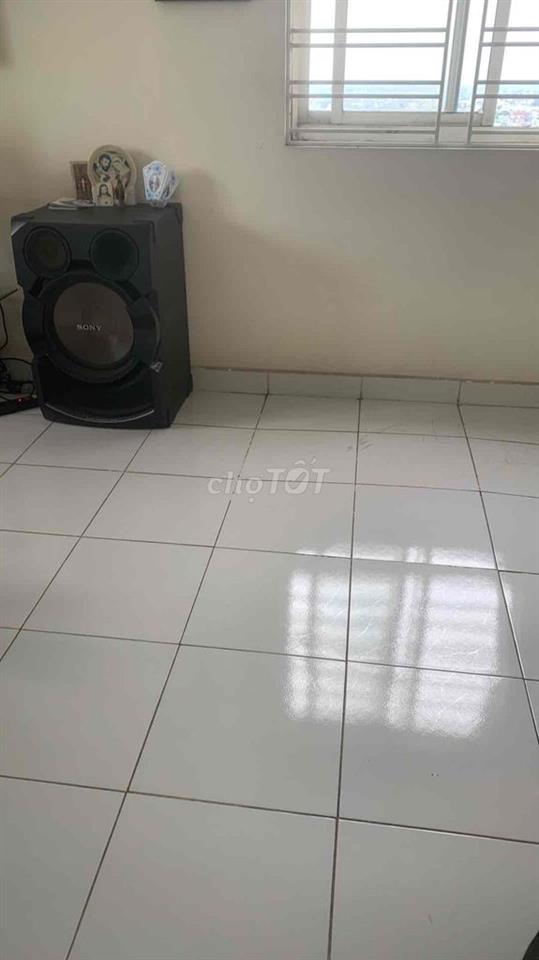 chín chu cần bán