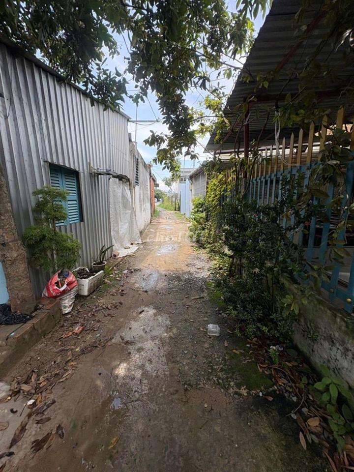 Cần bán gấp nhà Bình Chánh