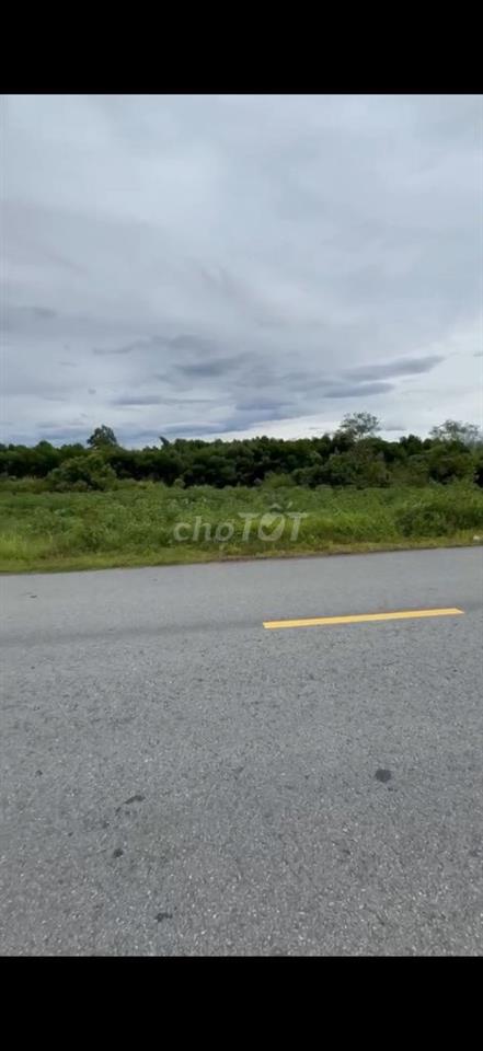 Mình cần bán đất gần KCN Phong Điền,tiềm năng rất phát triển