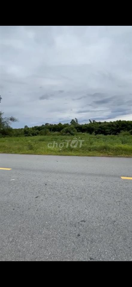 Mình cần bán đất gần KCN Phong Điền,tiềm năng rất phát triển