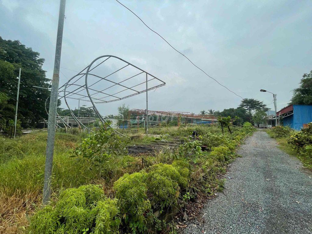 Cho thuê khu nghỉ dưỡng viwe sông