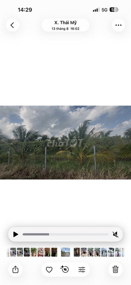 Bán đất chính chủ củ chi