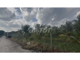 Bán đất chính chủ củ chi