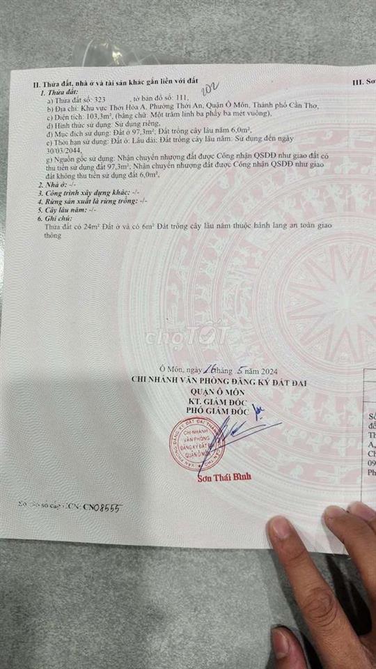 nền thới hòa ô môn
