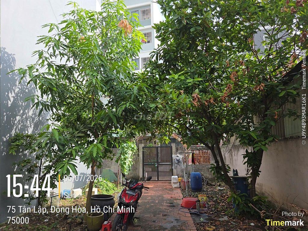 Bán nhà đất 150m² Đông Hòa, Dĩ An sát Làng ĐHQG TP. HCM, Metro số 1