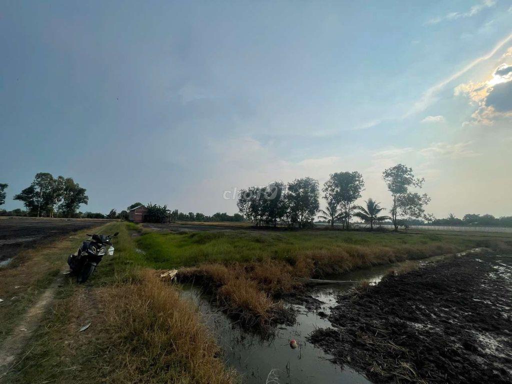 🔥 CẦN BÁN ĐẤT TÂN PHÚ – ĐỨC HÒA, TÂY NINH