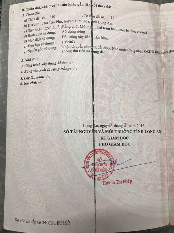 🔥 CẦN BÁN ĐẤT TÂN PHÚ – ĐỨC HÒA, TÂY NINH