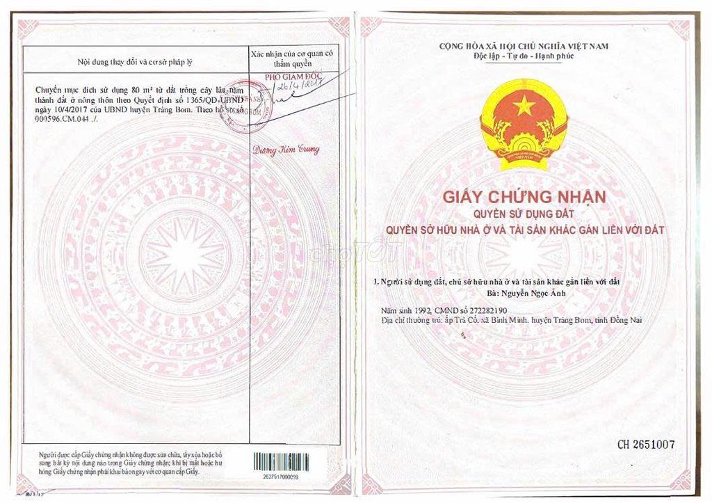 CHÍNH CHỦ CẦN BÁN LÔ ĐẤT TÂY HÒA 5