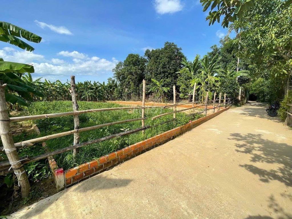 Giá cực mềm – chỉ 5XX triệu/lô Điện Bàn tây