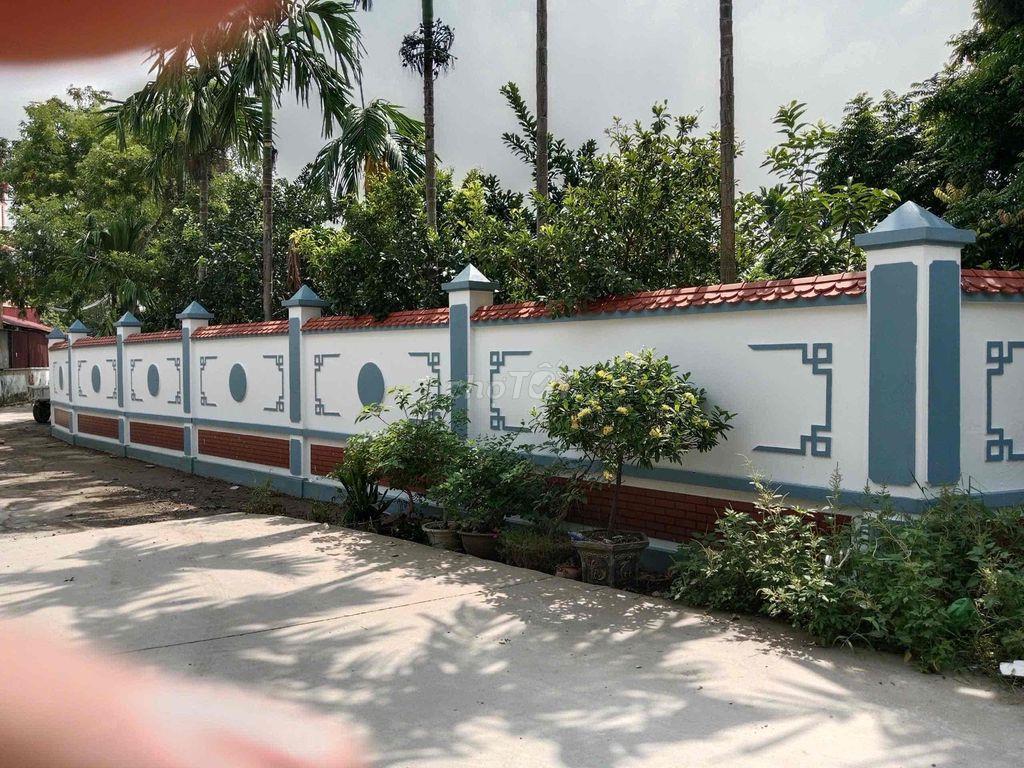 cho thuê đất làm xưởng