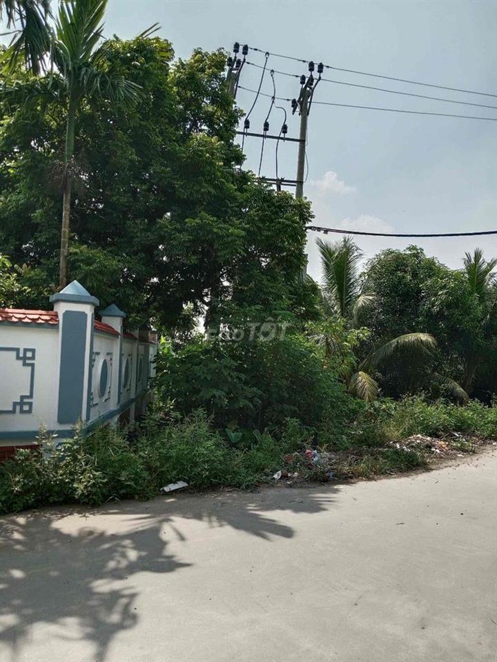 cho thuê đất làm xưởng