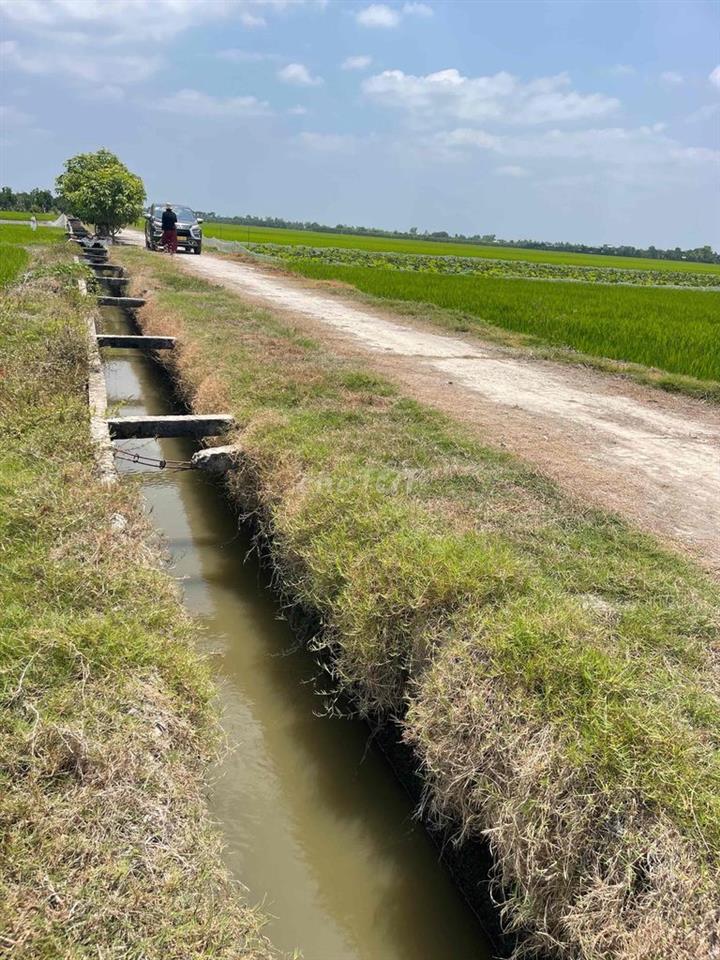 cần bán gấp đất Đồng Tháp