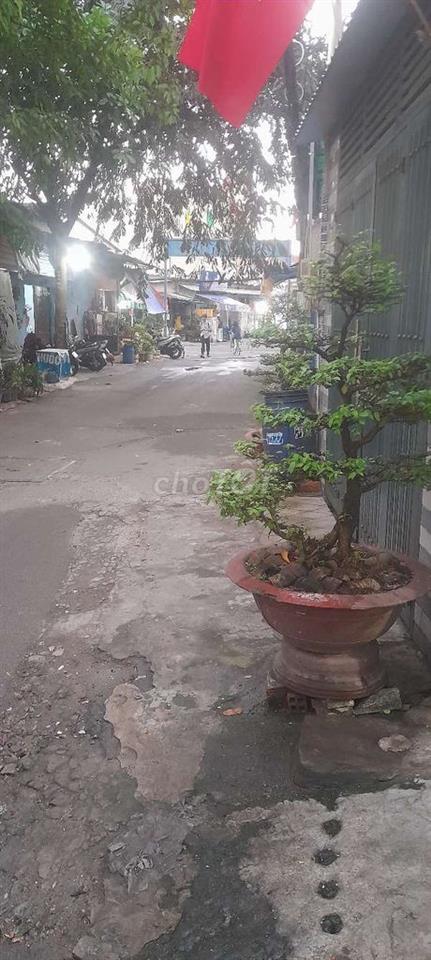 cho thue nha gan truong hoc.cong vien
