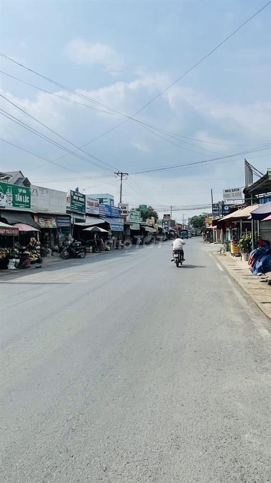 Bán đấtthổ cú