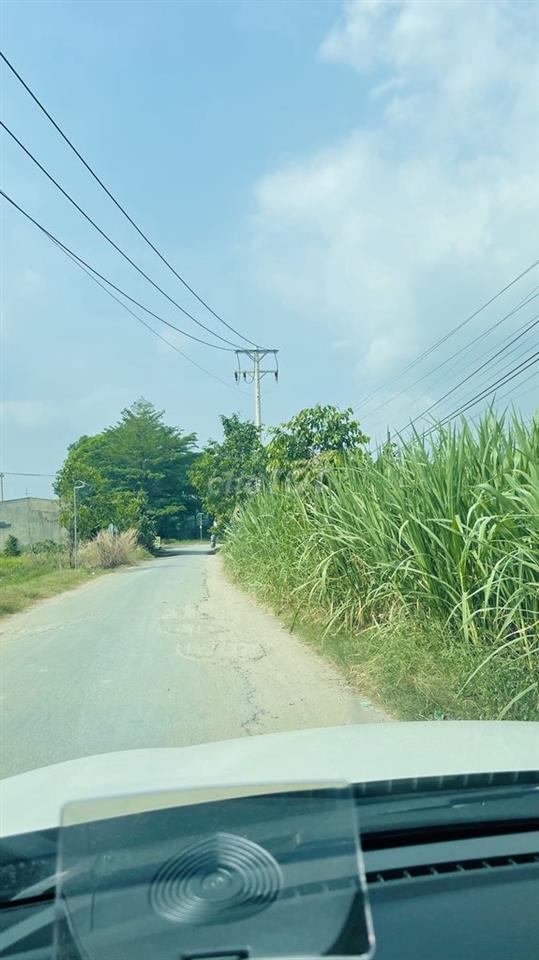 Bán đấtthổ cú