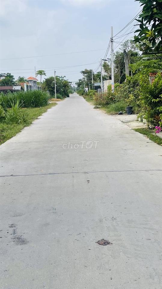 Bán đấtthổ cú