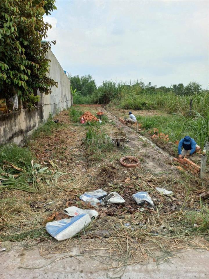 Bán đấtthổ cú