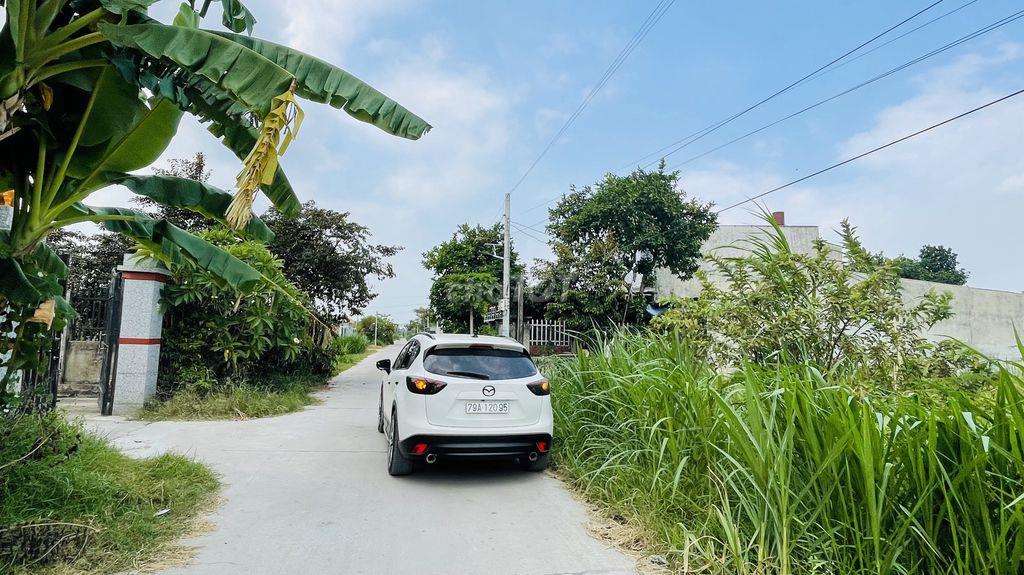 Bán đấtthổ cú