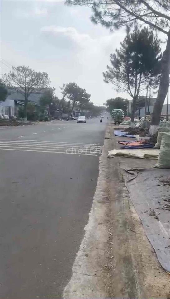 Đất Hai Mặt Tiền Đường Lớn 1300m2 Ở Thị Trấn Chư Păh Gia Lai
