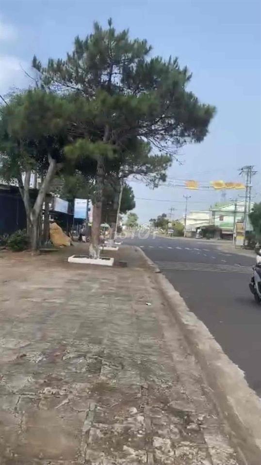 Đất Hai Mặt Tiền Đường Lớn 1300m2 Ở Thị Trấn Chư Păh Gia Lai