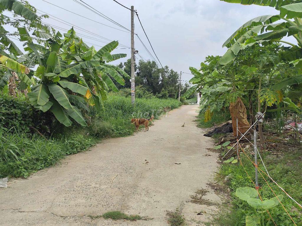 ĐẤT THỔ CƯ HXH THẠNH XUÂN 52 GẦN SÔNG VÀM THUẬT