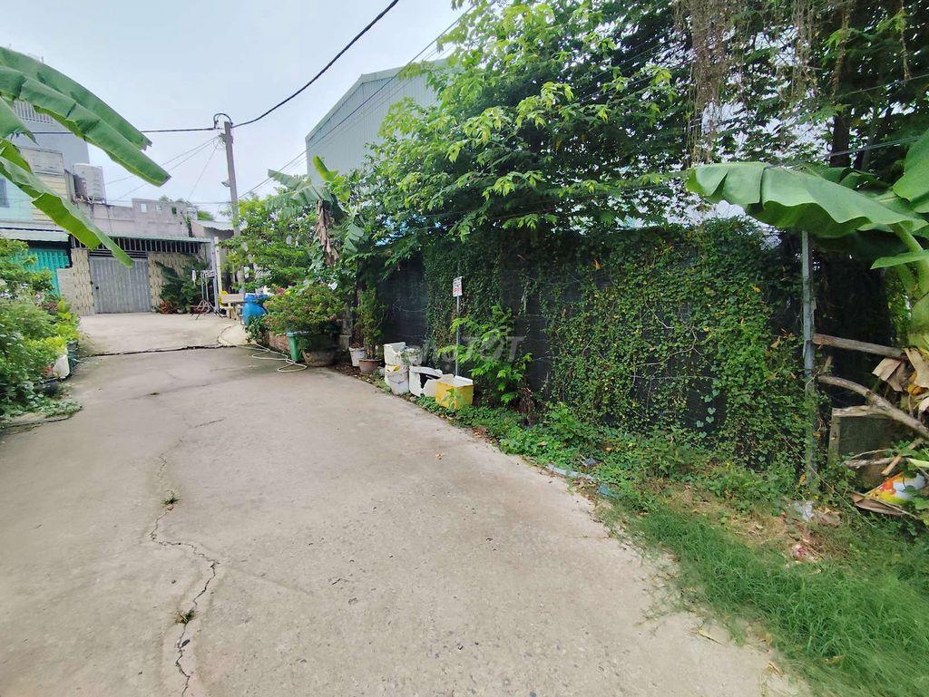 ĐẤT THỔ CƯ HXH THẠNH XUÂN 52 GẦN SÔNG VÀM THUẬT