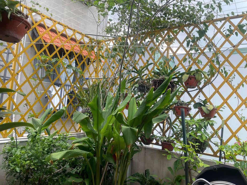 Nhà Phố Đường số 23 Khu Bên Sông SG 3 tầng lâu HXH 90m2 ngang 5m SHR