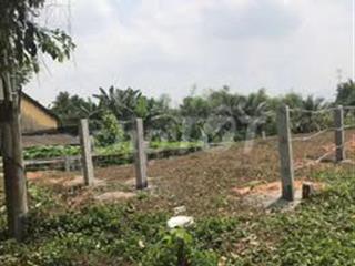 Cần tiền bán gấp
