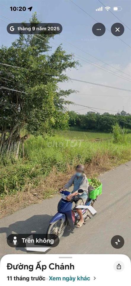 cần bán gấp
