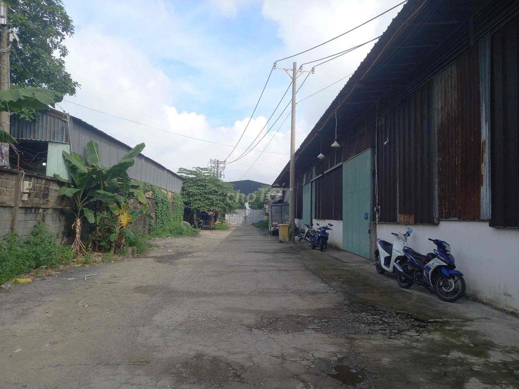 CHO THUÊ KHO 39 TÂY THẠNH (KCN TÂN BÌNH)