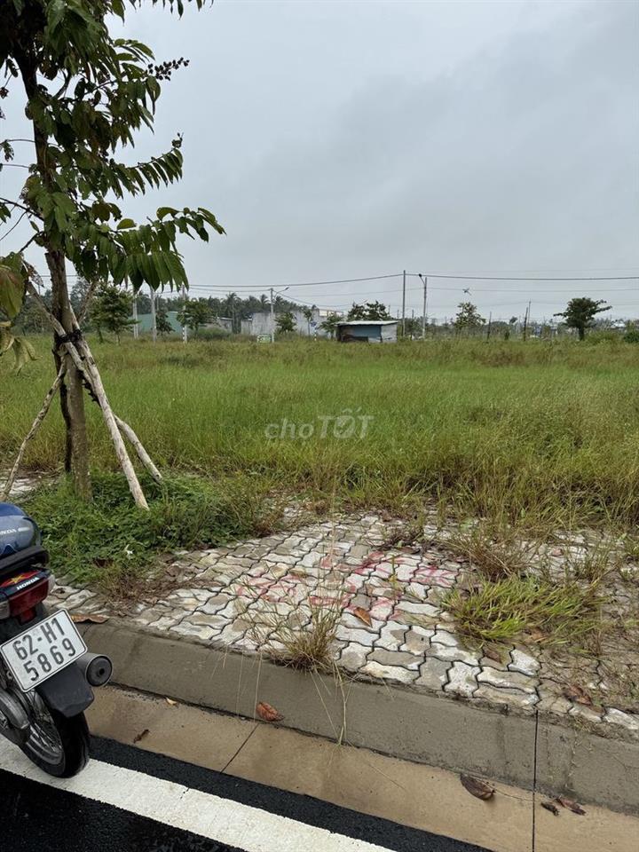 bán đất nền chính chủ