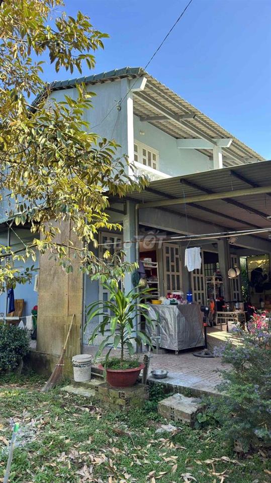 🏡 Chính chủ cần bán đất vườn đang trồng sầu riêng 4 năm tuổi đang trái