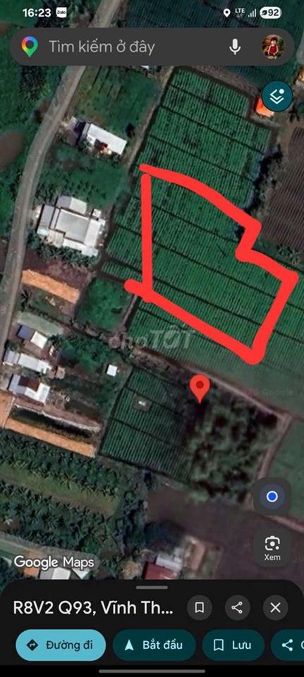 Bán đất trồng khoái, 3645m2