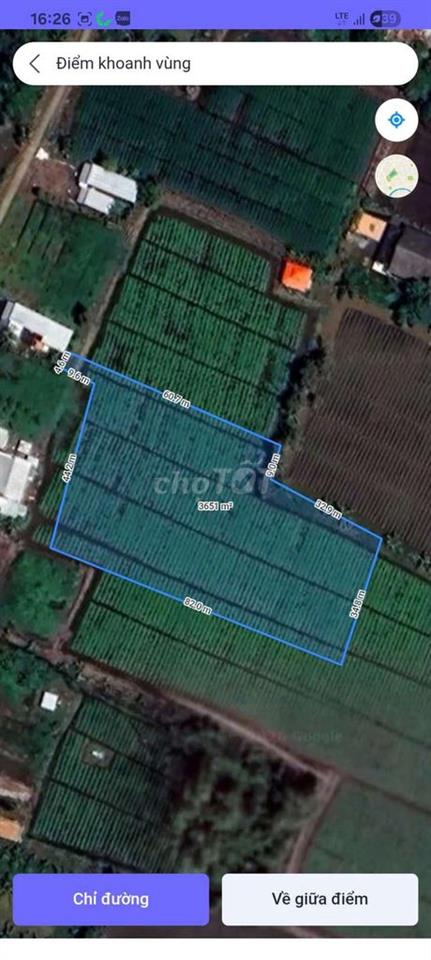 Bán đất trồng khoai, 3645m2