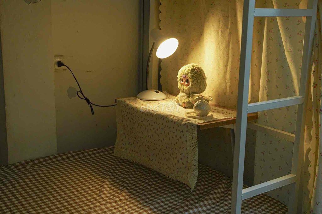 cần sang lại 1 giường nữ