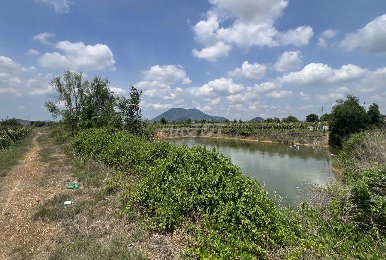 Đất vườn thanh long 32.970 m² tại Hàm Minh, Hàm Thuận Nam